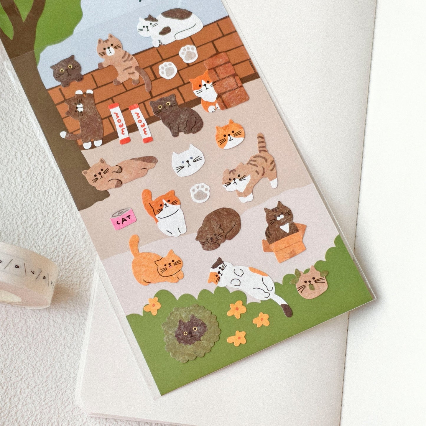 Bonito | Aelly Cat