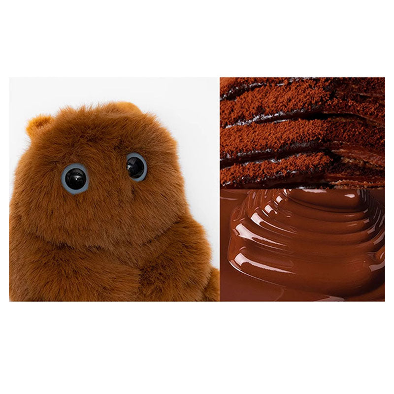 【ISFJ】Lucky Child-Silky Chocolate